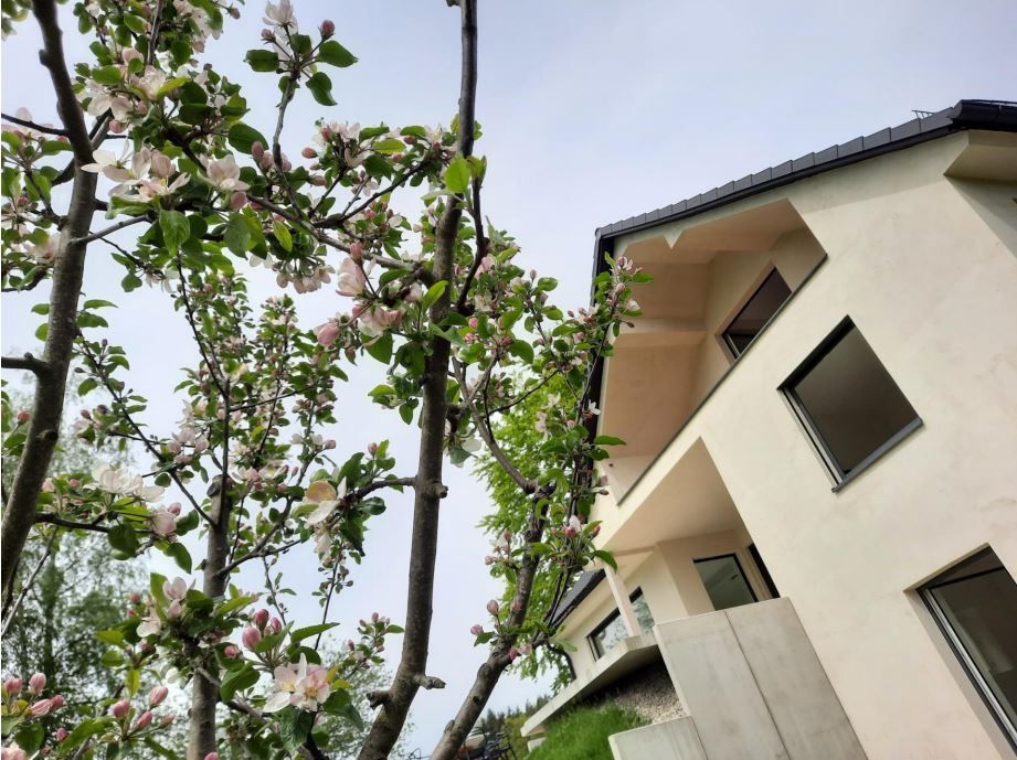 RESERVIERT!! Ihren nächsten Sommer vor traumhafter Kulisse ** Traumhaftes Anwesen im puristischen Stil ** Top **